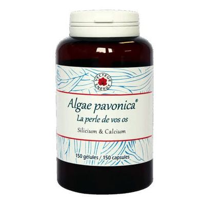 Algae Pavonica – Padina Pavonica – 150 gélules Algae Pavonica Padina Pavonica Vecteur Energy – Flacon 150 gélules végétales de 500 mg à base d'algue marine riche minéraux