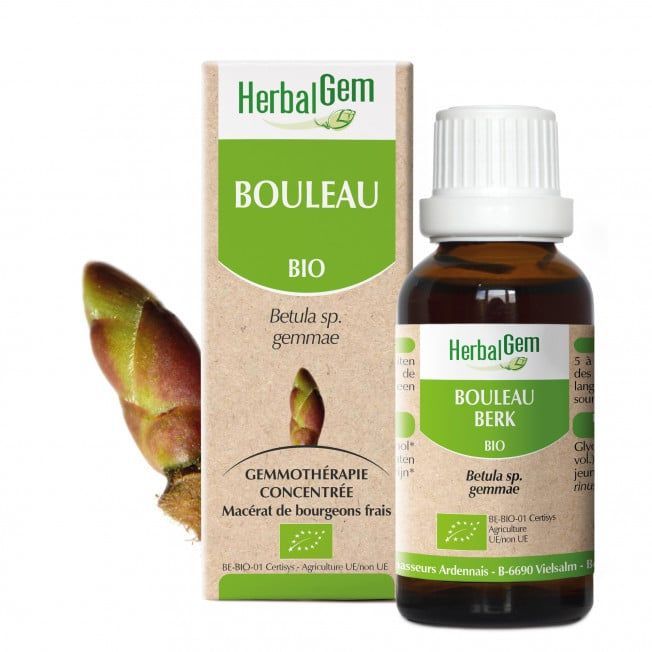 Bouleau herbalgem 30 ml bourgeons betula pendula betula pubescens gemmotherapie Herboristerie Cousin Wiame Wattrelos.