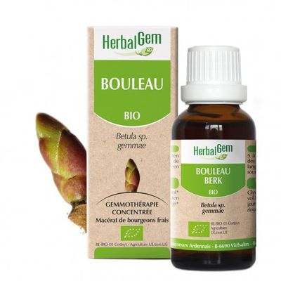 Bouleau bio 30 ml Bouleau herbalgem 30 ml bourgeons betula pendula betula pubescens gemmotherapie Herboristerie Cousin Wiame Wattrelos.