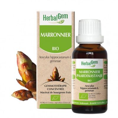 Marronnier bio 30 ml Marronnier herbalgem 30 ml bourgeons aesculus hippocastanum gemmotherapie Herboristerie Cousin Wiame Wattrelos.