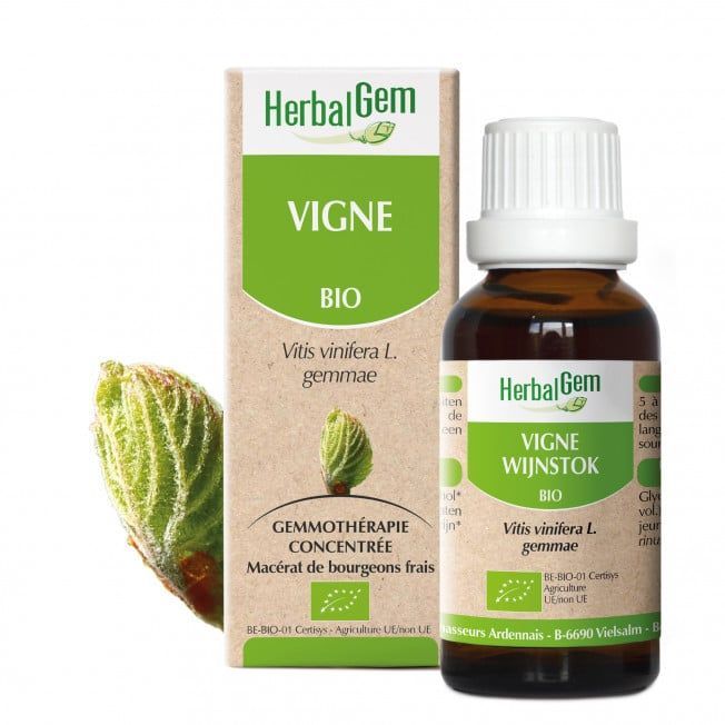 Vigne bio 30 ml vigne herbalgem 30 ml bourgeons vitis vinifera gemmotherapie herboristerie cousin wiame wattrelos.