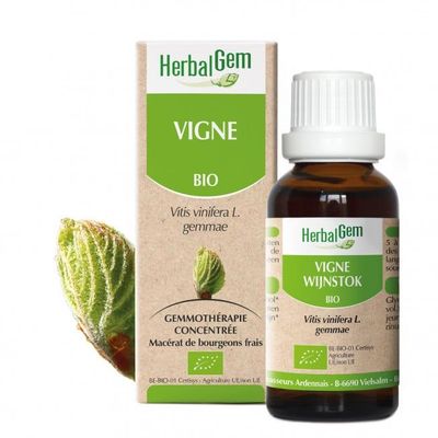 vigne herbalgem 30 ml bourgeons vitis vinifera gemmotherapie herboristerie cousin wiame wattrelos.