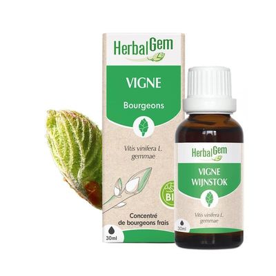 Bourgeon de Vigne Bio HerbalGem, macérat de bourgeons frais de Vitis vinifera, flacon 30 ml