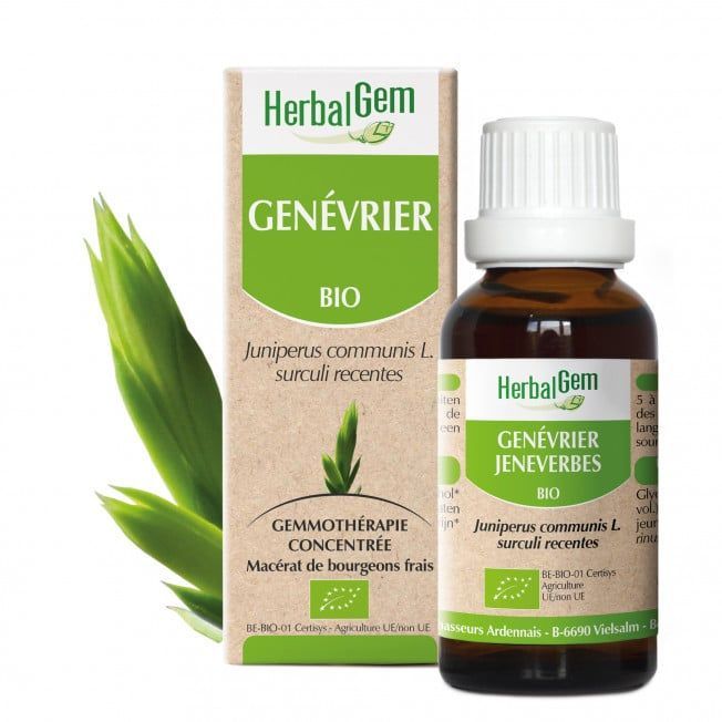 Genevrier herbalgem 30 ml bourgeons juniperus communis gemmotherapie Herboristerie Cousin Wiame Wattrelos.