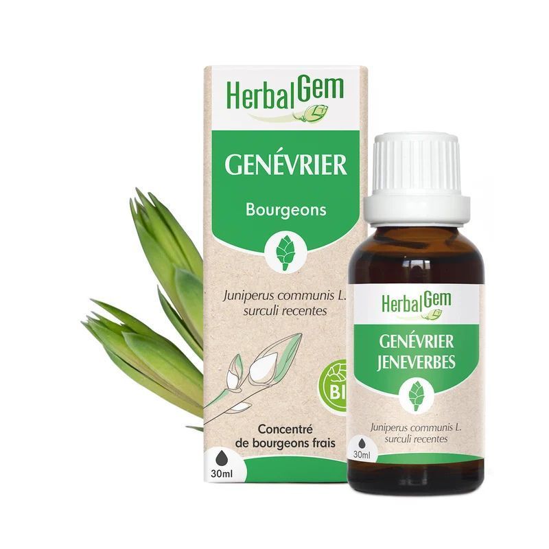 Bourgeon de Genévrier Bio HerbalGem – 30 ml Genévrier Bio HerbalGem macérat glycériné de bourgeons frais de Juniperus communis en gemmothérapie, flacon 30 ml