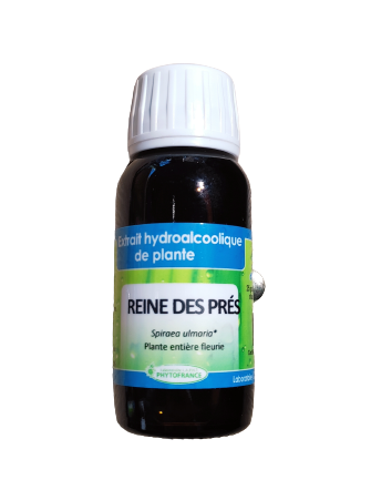 Reine des Prés 60 ml Bio extrait hydroalcoolique reine des prés bio spiraea ulmaria 60 ml herberie cousin wiame