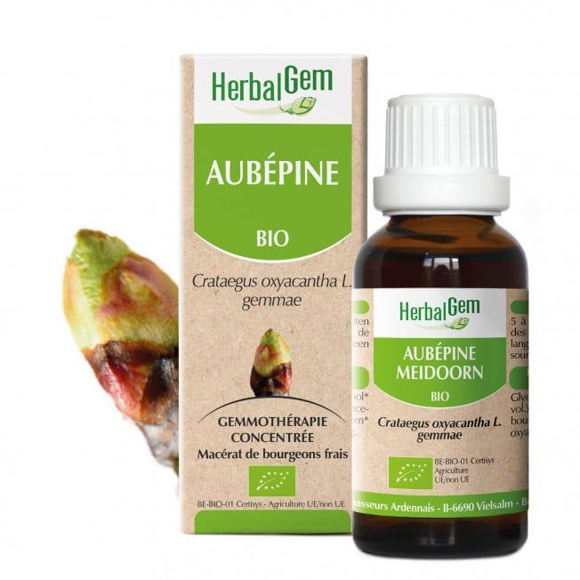 Aubépine bio 30 ml Aubepine herbalgem 30 ml bourgeons crataegus oxyacantha gemmotherapie, Herboristerie Cousin Wiame Wattrelos.