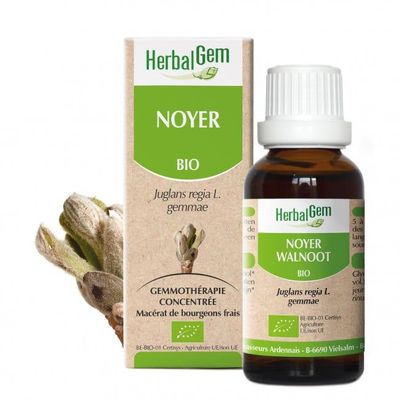 Noyer herbalgem 30 ml bourgeons juglans regia gemmotherapie Herboristerie Cousin Wiame Wattrelos.