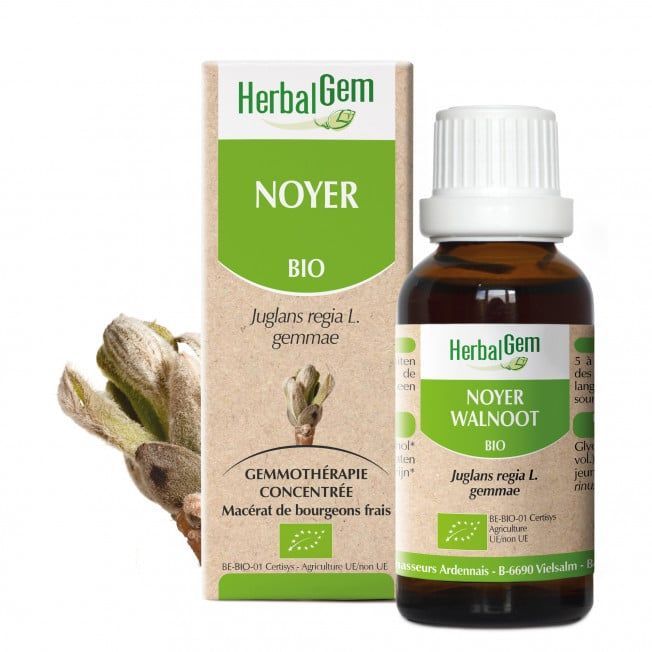 Noyer herbalgem 30 ml bourgeons juglans regia gemmotherapie Herboristerie Cousin Wiame Wattrelos.