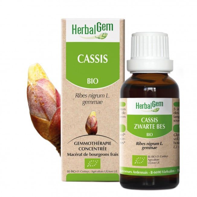 Cassis herbalgem 30 ml bourgeons ribes nigrum gemmotherapie Herboristerie Cousin Wiame Wattrelos.