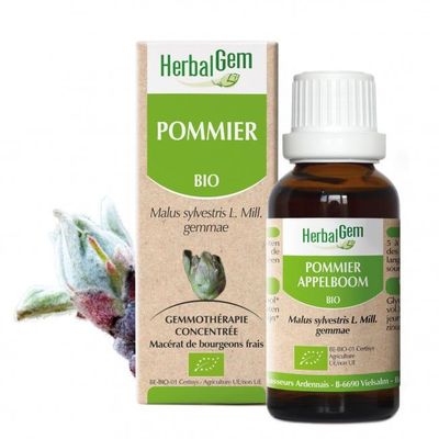 Pommier bio 30 ml Pommier herbalgem 30 ml bourgeons malus sylvestris gemmotherapie Herboristerie Cousin Wiame Wattrelos.