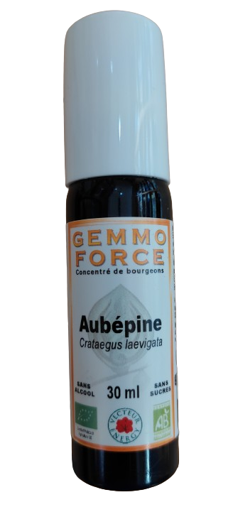 GEMMO FORCE Aubepine 30 ml spray concentré de bourgeons bio sans alcool Crataegus laevigata