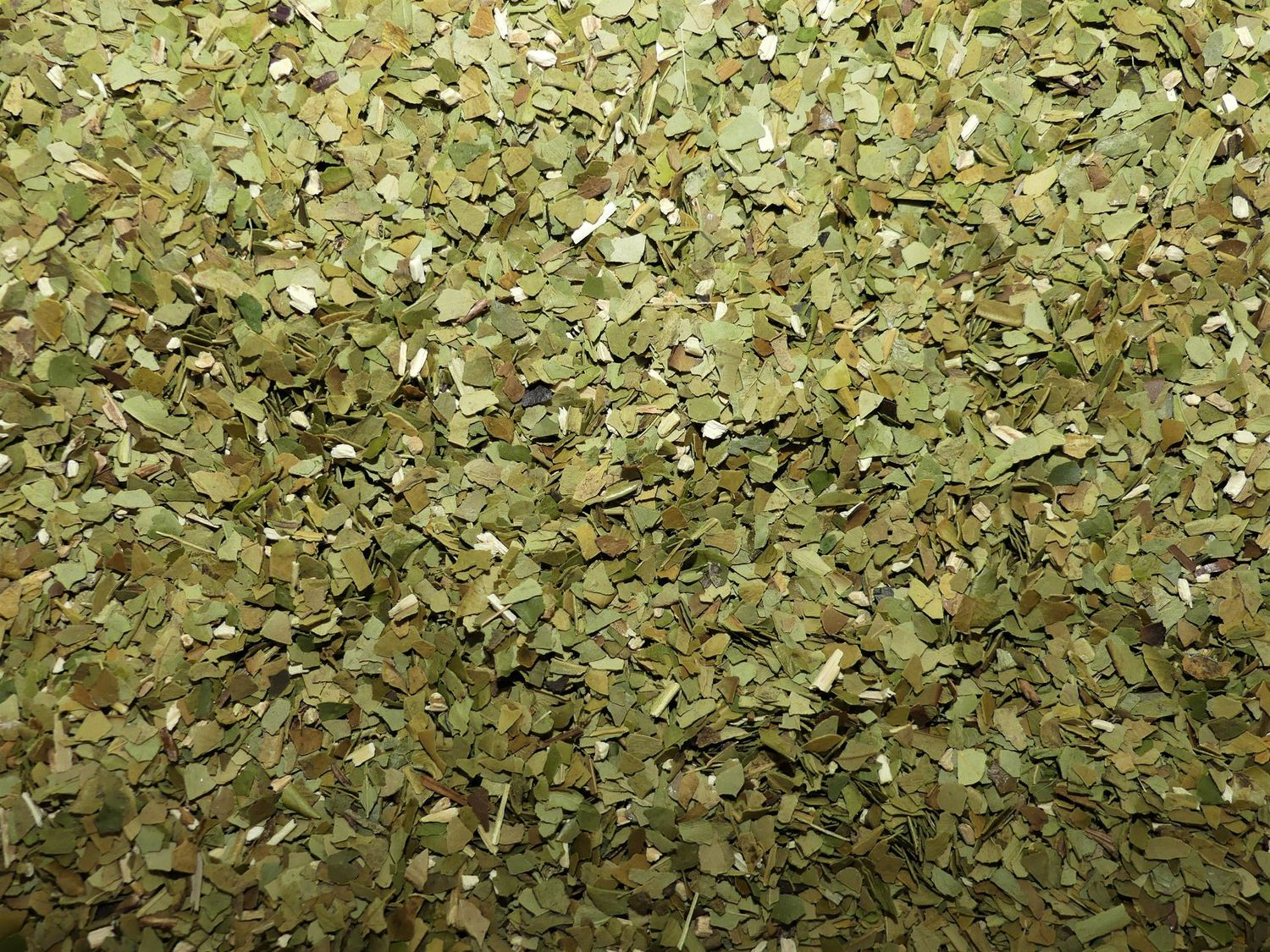 Mate vert feuille vrac 100g Ilex paraguariensis tisane plante sèche