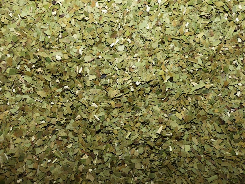 Mate vert feuille vrac 100g Ilex paraguariensis tisane plante sèche