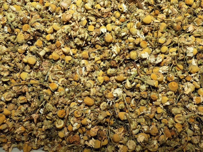 Matricaire fleur vrac 100g Matricaria chamomilla tisane plante sèche