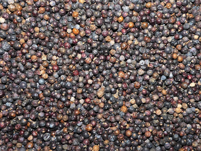 Genevrier baies vrac 100g Juniperus communis tisane plante sèche