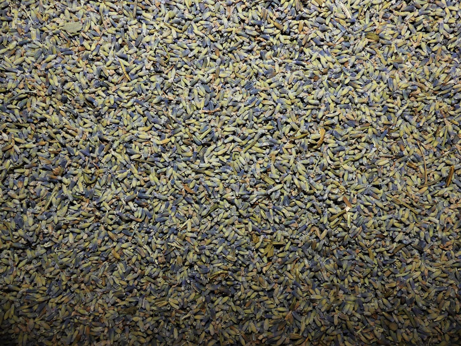 Lavande vraie (fleur) Lavande vraie fleur vrac 100g Lavandula angustifolia tisane plante sèche