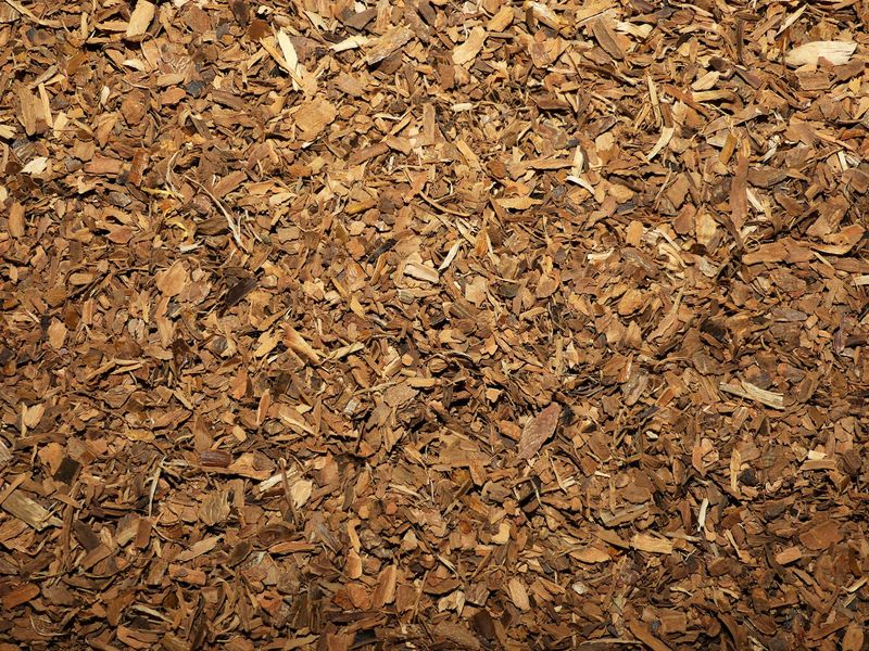 Cannelle ecorce vrac 100g Cinnamomum zeylanicum tisane plante sèche