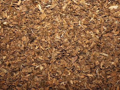 Cannelle ecorce vrac 100g Cinnamomum zeylanicum tisane plante sèche