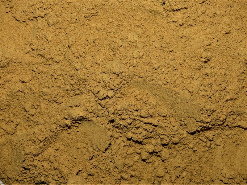 Gingembre poudre vrac 100g Zingiber officinale epice naturelle