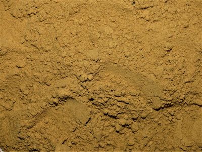 Gingembre (racine) Gingembre poudre vrac 100g Zingiber officinale epice naturelle