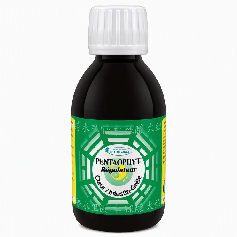 Régulateur Cœur/Intestin-Grêle 250 ml Bio Régulateur Cœur/Intestin-Grêle Bio 250 ml à base de marjolaine, cassis, lavande, mélisse à l'herboristerie cousin à Wattrelos