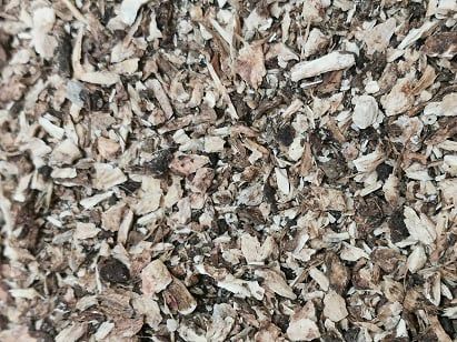 Bardane racine vrac 100g Arctium lappa tisane plante sèche