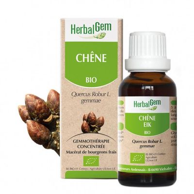 Chêne bio 30 ml Chene herbalgem 30 ml bourgeons quercus robur gemmotherapie Herboristerie Cousin Wiame Wattrelos.