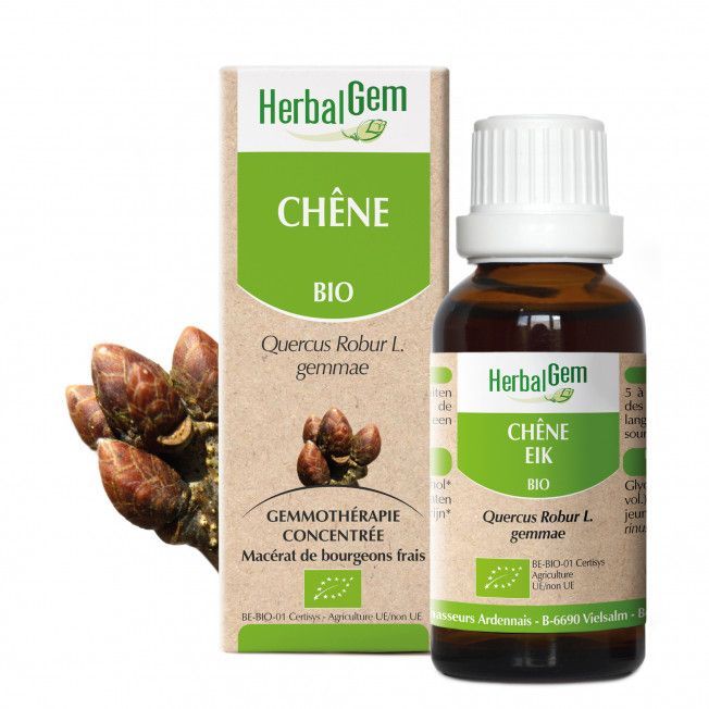 Chene herbalgem 30 ml bourgeons quercus robur gemmotherapie Herboristerie Cousin Wiame Wattrelos.