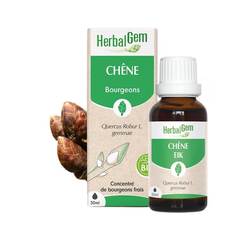 Bourgeon de Chêne Bio HerbalGem – 30 ml Chêne Bio HerbalGem macérat glycériné de bourgeons frais de Quercus robur en gemmothérapie, flacon compte-gouttes 30 ml