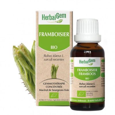Framboisier herbalgem 30 ml jeunes pousses rubus idaeus gemmotherapie Herboristerie Cousin Wiame Wattrelos.