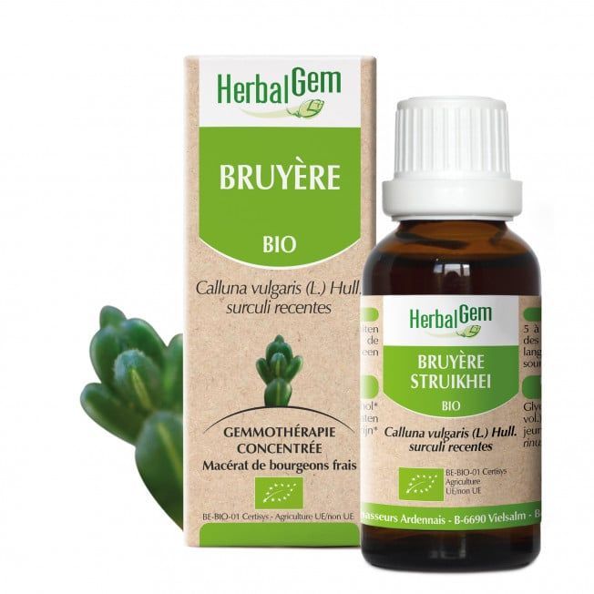 Bruyere herbalgem 30 ml jeunes pousses calluna vulgaris gemmotherapie Herboristerie Cousin Wiame Wattrelos.
