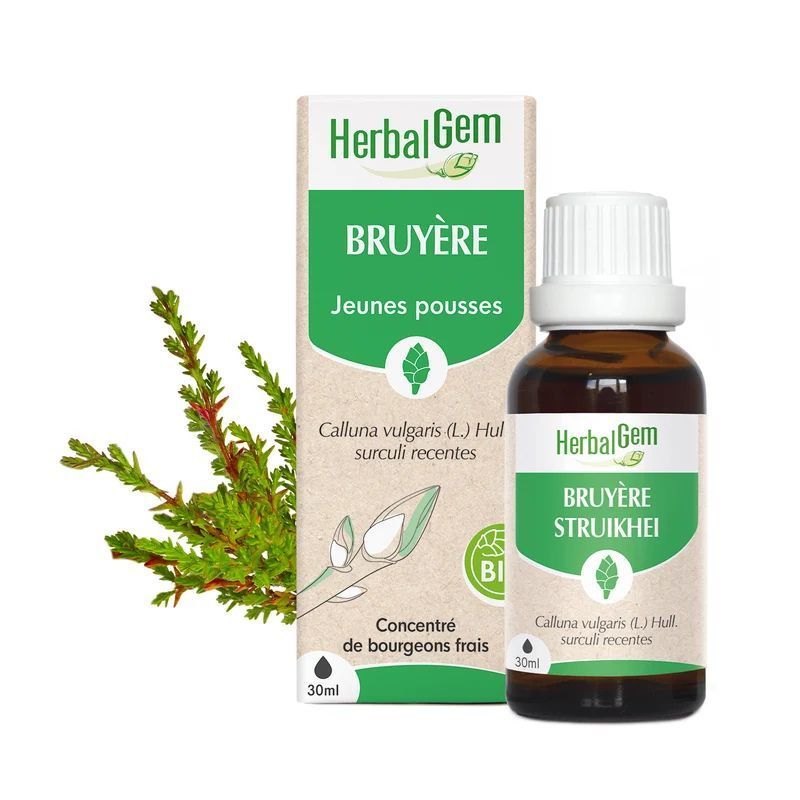 Bourgeon de Bruyère Bio HerbalGem – 30 ml Bruyère Bio HerbalGem macérat glycériné de jeunes pousses fraîches de bruyère en gemmothérapie, flacon compte-gouttes 30 ml