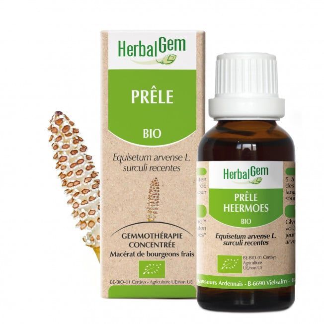 Prêle bio 30 ml Prele herbalgem 30 ml jeunes pousses equisetum arvense gemmotherapie Herboristerie Cousin Wiame Wattrelos.