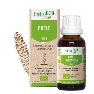 Prêle bio 30 ml Prele herbalgem 30 ml jeunes pousses equisetum arvense gemmotherapie Herboristerie Cousin Wiame Wattrelos.