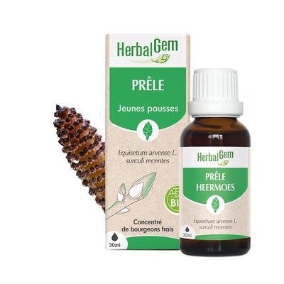 Bourgeon de Prêle Bio HerbalGem – 30 ml Bourgeon de Prêle Bio HerbalGem, macérat de jeunes pousses d’Equisetum arvense, flacon 30 ml