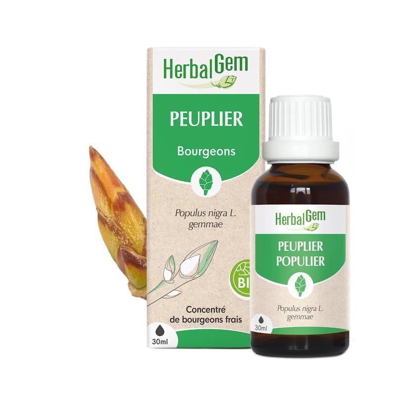 Bourgeon de Peuplier Bio HerbalGem – 30 ml Bourgeon de Peuplier Bio HerbalGem, macérat de bourgeons frais de Populus nigra, flacon 30 ml