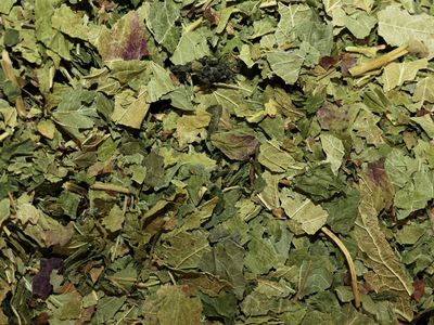 Cassis feuille vrac 100g Ribes nigrum tisane plante sèche