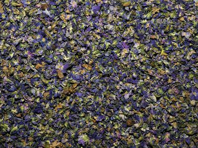Violette fleur vrac 25g Viola odorata tisane plante sèche