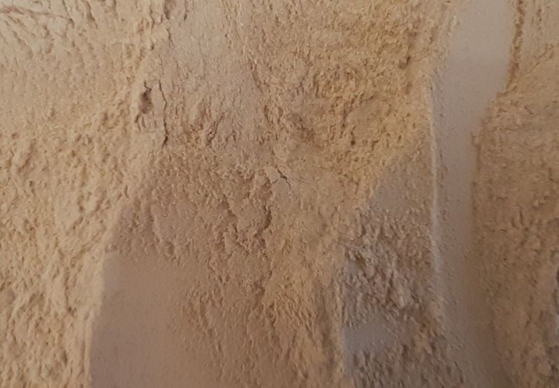 Maca poudre vrac 100g Lepidium peruvianum racine naturelle