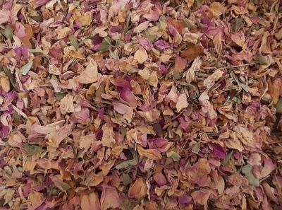 Rosier fleur tisane vrac 50g Rosa centifolia petales rose Herboristerie Cousin Wiame Wattrelos.