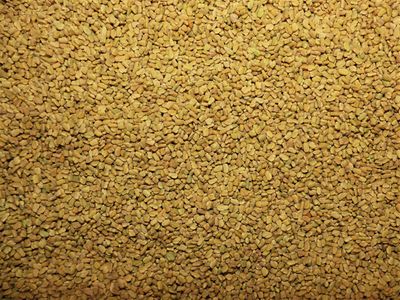 Fenugrec (semence) Fenugrec semence vrac 200g Trigonella foenum graecum tisane plante sèche