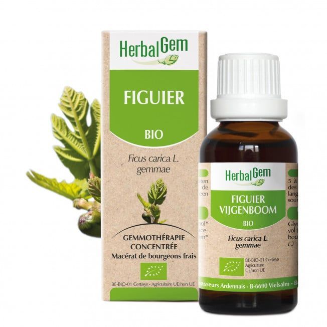 bourgeon figuier 30 ml bio