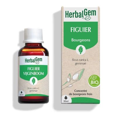Figuier Bio HerbalGem macérat glycériné de bourgeons frais de Ficus carica en gemmothérapie, flacon compte-gouttes 30 ml