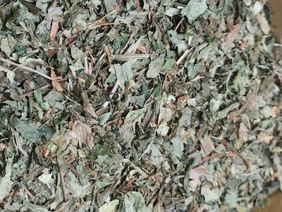 Bardane grande feuille vrac 100g Arctium lappa tisane plante sèche