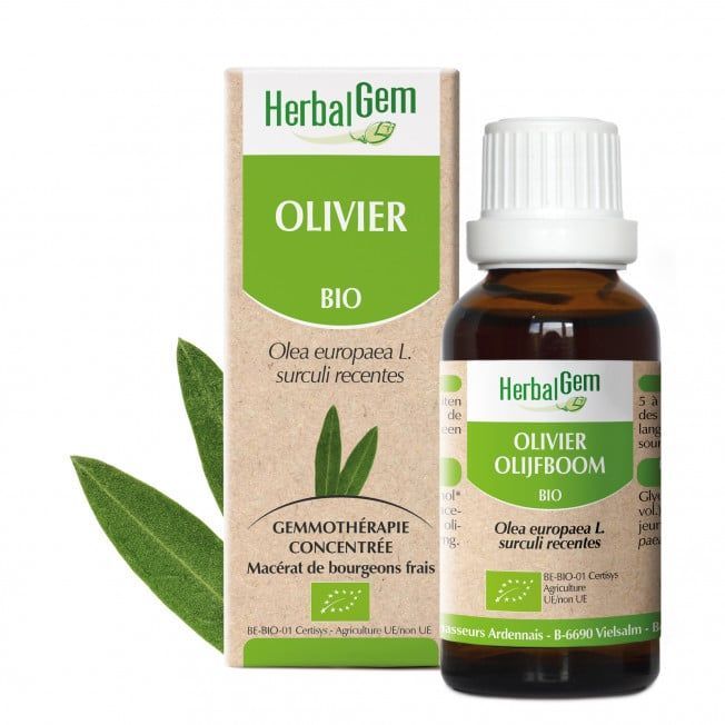 Olivier herbalgem 30 ml jeunes pousses olea europaea gemmotherapie Herboristerie Cousin Wiame Wattrelos.