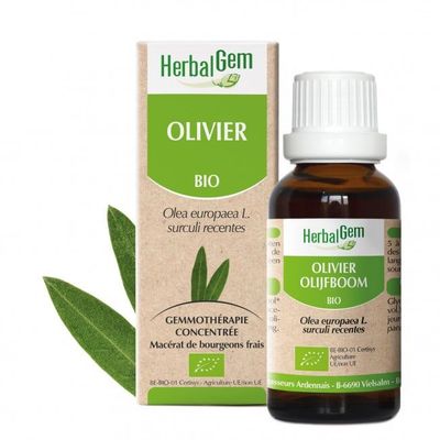 Olivier bio 30ml Olivier herbalgem 30 ml jeunes pousses olea europaea gemmotherapie Herboristerie Cousin Wiame Wattrelos.