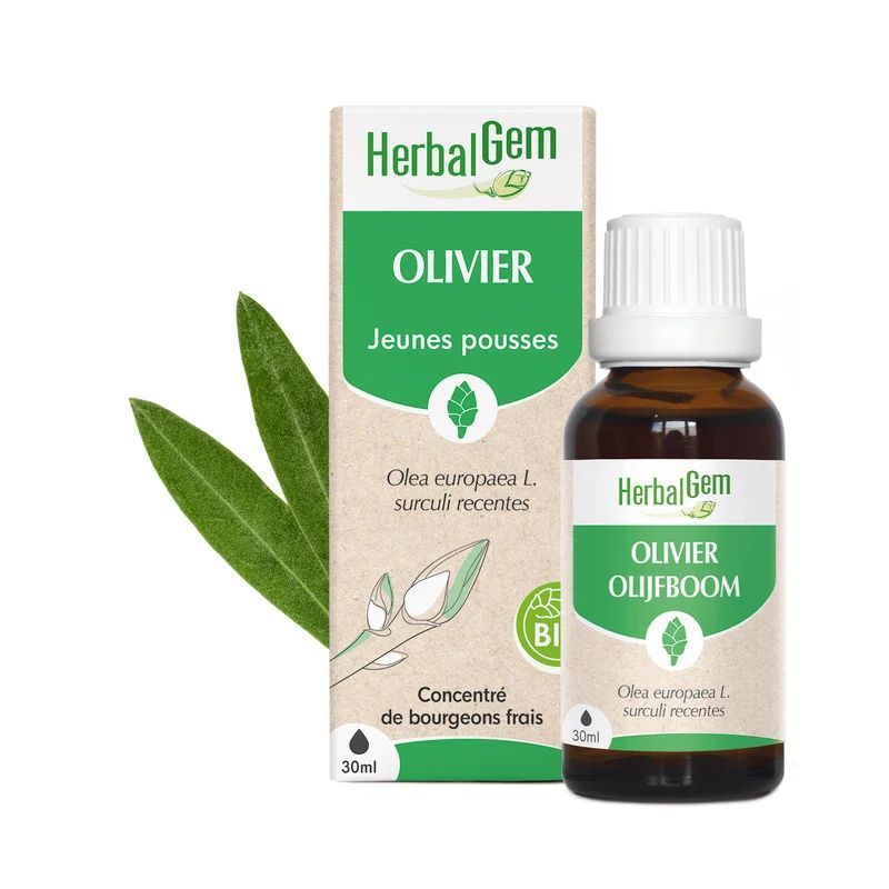 Bourgeon d'Olivier Bio HerbalGem, macérat de jeunes pousses d’Olea europaea, flacon 30 ml