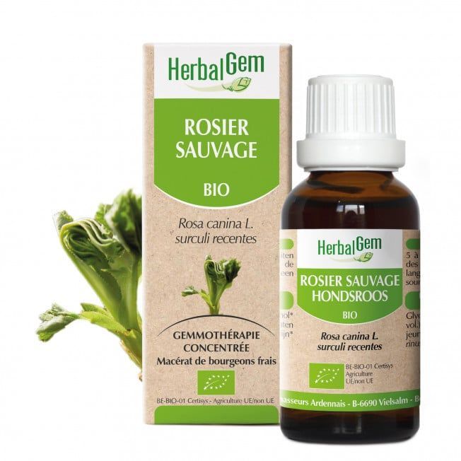 Rosier sauvage bio 30 ml rosier sauvage herbalgem 30 ml jeunes pousses rosa canina gemmotherapie herboristerie cousin wiame wattrelos.