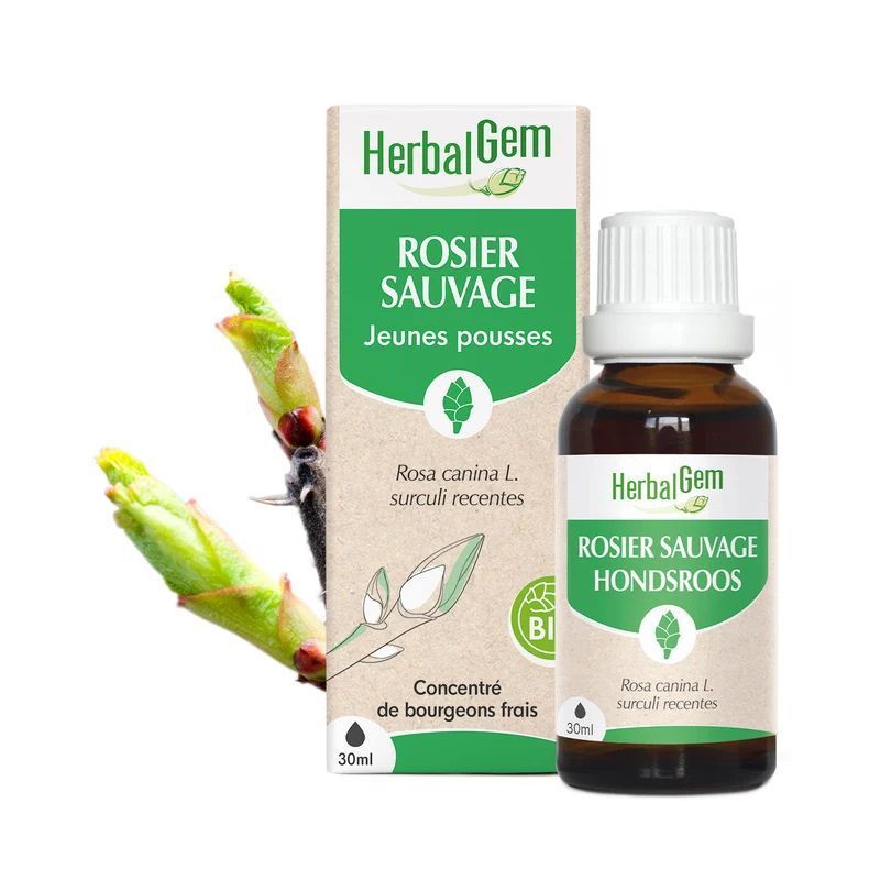 Bourgeon de Rosier sauvage Bio HerbalGem – 30 ml Bourgeon de Rosier sauvage Bio HerbalGem, macérat de jeunes pousses de Rosa canina, flacon 30 ml